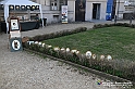 VBS_6979 - FLOREAL Ottobre 2022 - Tre giorni di fiori, piante e bellezza